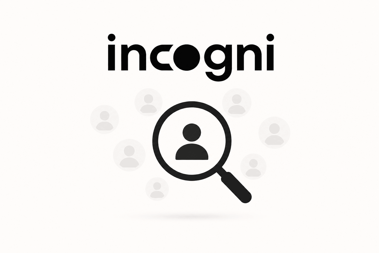 Incogni-img-2