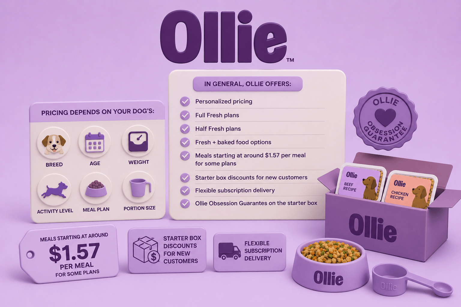 Ollie-img-4