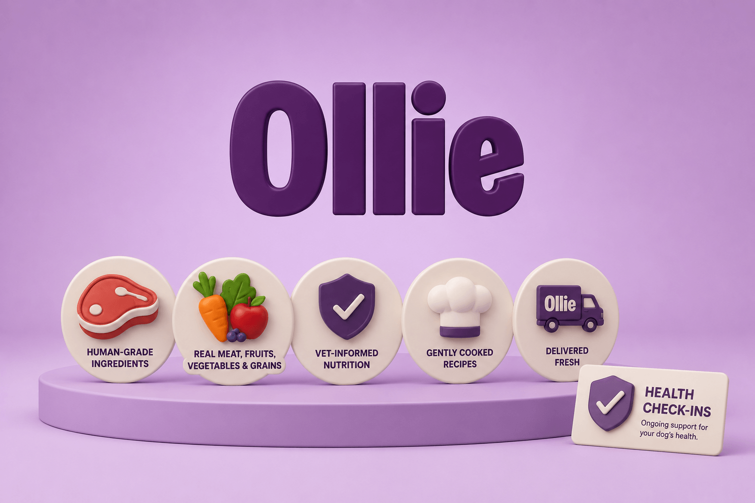 Ollie-img-6