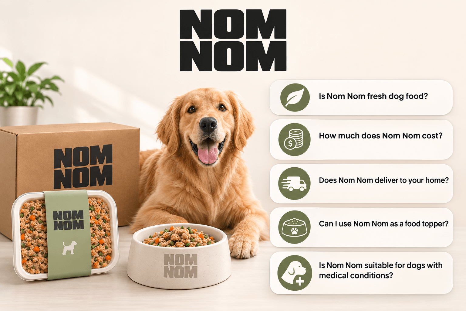 nom-nom-img-8
